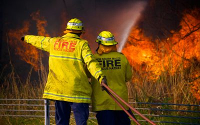 Sydney Bushfire Report by John Hensel (2002)